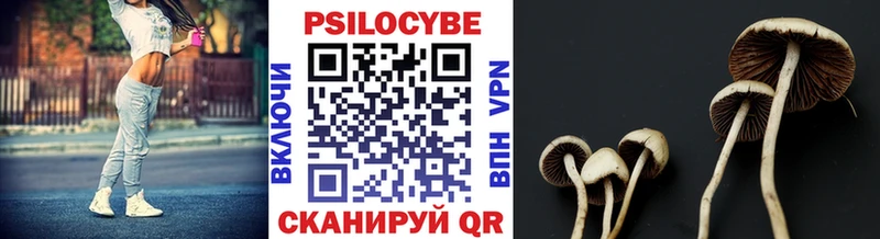 Галлюциногенные грибы мицелий  Плёс 